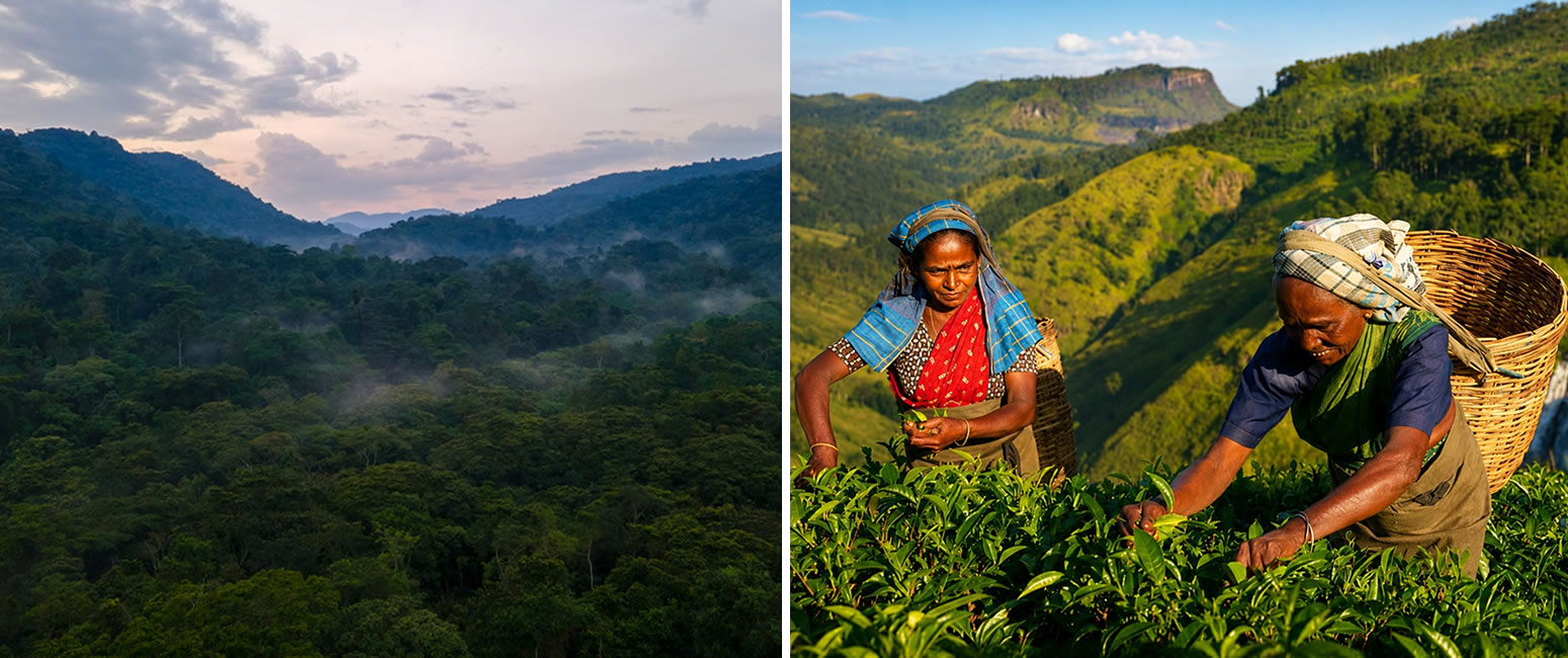 4days-rwanda